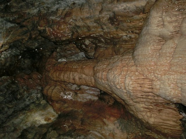 Canopa delle 7 colonne